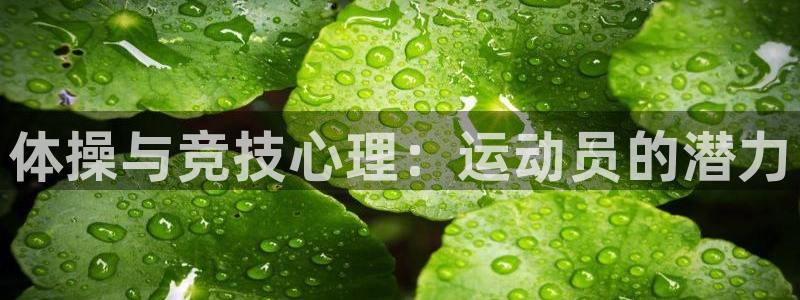J9官方正版app集团官网首页网址：体操与竞技心理：