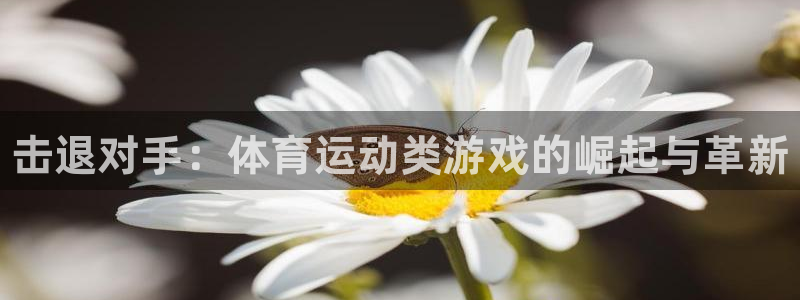 J9官方正版app娱乐40996：击退对手：体育运动