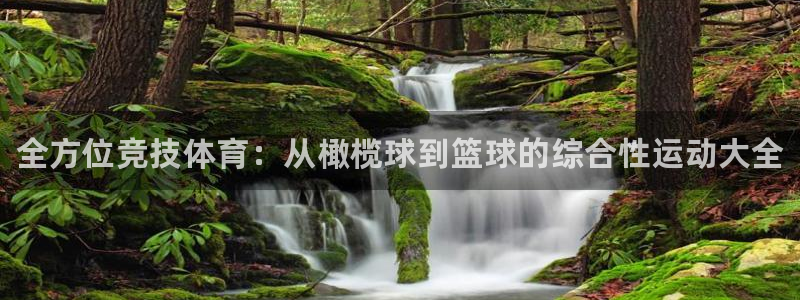 J9官网下载招商电话号码查询：全方位竞技体育：从橄榄球到篮球