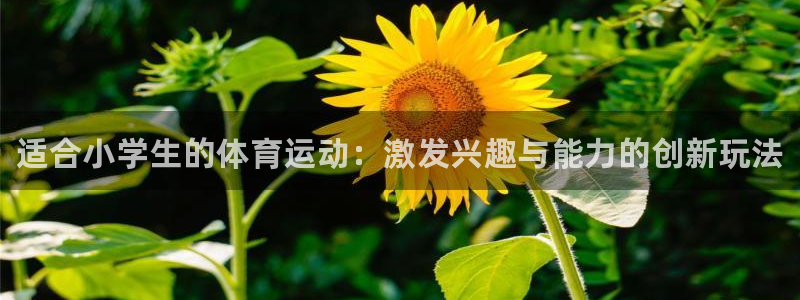 J9官网下载平台注册流程图：适合小学生的体育运动：激