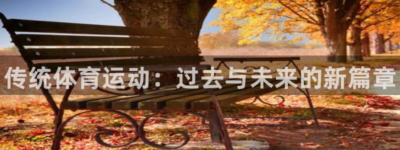 J9官网下载招商电话号码查询：传统体育运动：过去与未