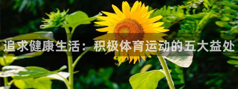 海南J9官网下载发展怎么样：追求健康生活：积极体育运