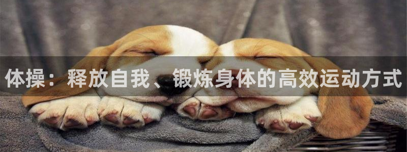 J9官网下载招商电话号码是多少啊：体操：释放自我、锻