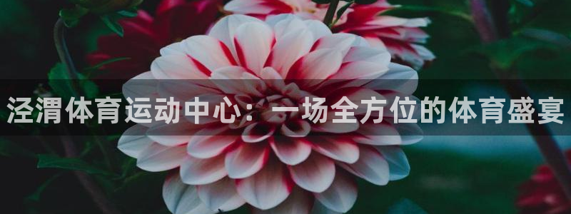 J9官网下载娱乐：泾渭体育运动中心：一场全方位的体育