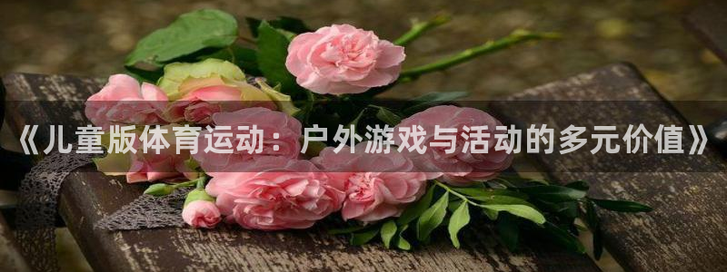 J9官网下载招商电话号码：《儿童版体育运动：户外游戏与活动的