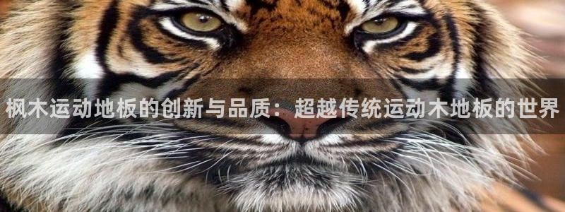 J9官网下载招商电话号码查询是多少：枫木运动地板的创