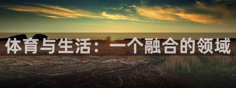 J9官网下载平台注册要钱吗安全吗：体育与生活：一个融合的领域
