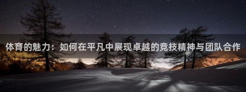 J9官网下载注册：体育的魅力：如何在平凡中展现卓越的竞技精神