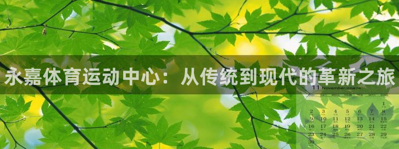 J9官网下载是干嘛的公司：永嘉体育运动中心：从传统到