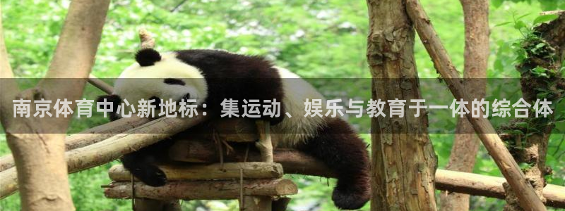 J9官网下载平台注册流程视频：南京体育中心新地标：集运动、娱