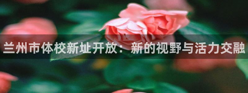 J9官网下载招商电话是多少号码：兰州市体校新址开放：