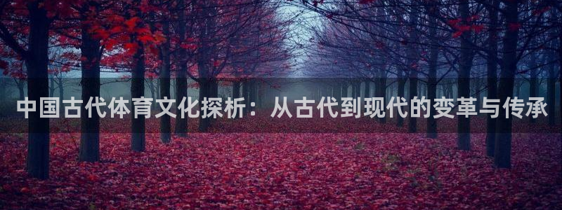 J9官网下载平台是正规平台吗知乎：中国古代体育文化探
