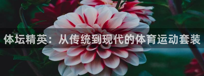 J9官方正版app官方：体坛精英：从传统到现代的体育