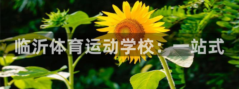 德国J9官方正版app集团：临沂体育运动学校：一站式