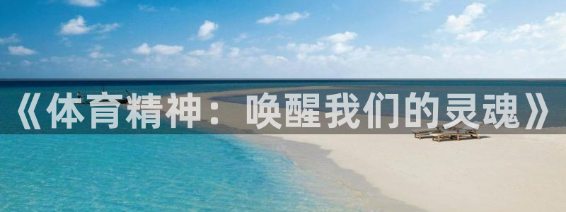 注册J9官方正版app：《体育精神：唤醒我们的灵魂》