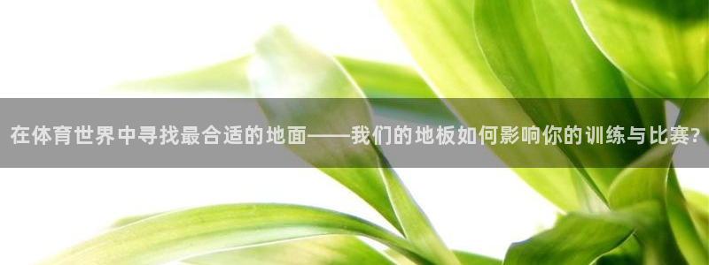 J9官方正版app娱乐首页官网下载：在体育世界中寻找