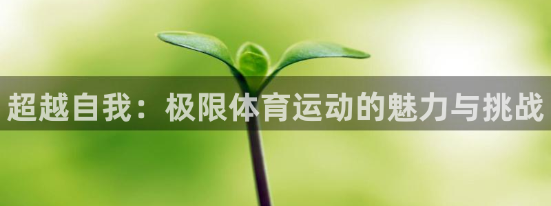 J9官网下载招商电话：超越自我：极限体育运动的魅力与