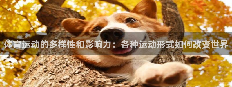 J9官网下载软件：体育运动的多样性和影响力：各种运动