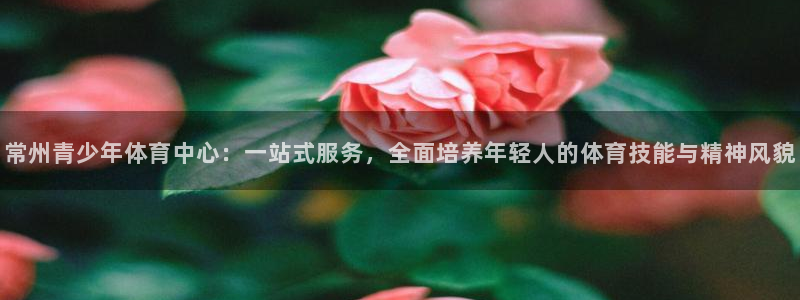 J9官方正版app娱乐40996：常州青少年体育中心
