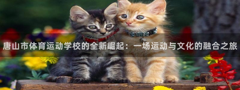 J9官方正版app娱乐是那个系列的台子：唐山市体育运