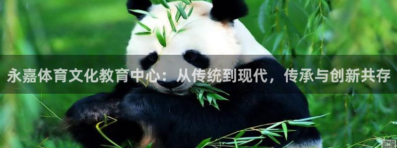 J9官方正版app集团官网网址：永嘉体育文化教育中心