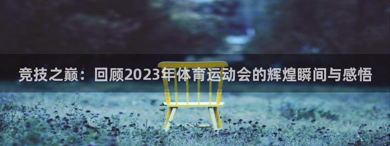 J9官方正版app娱乐是那个系列的台子：竞技之巅：回