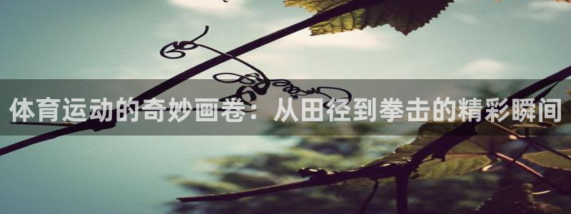 J9官网下载招商电话号码：体育运动的奇妙画卷：从田径
