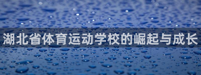 J9官方正版app集团官网网址：湖北省体育运动学校的
