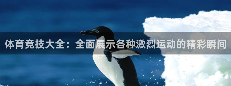J9官网下载招商：体育竞技大全：全面展示各种激烈运动