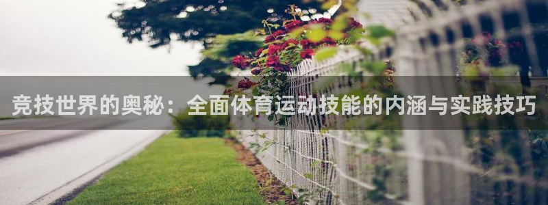 J9官方正版app集团官网首页：竞技世界的奥秘：全面