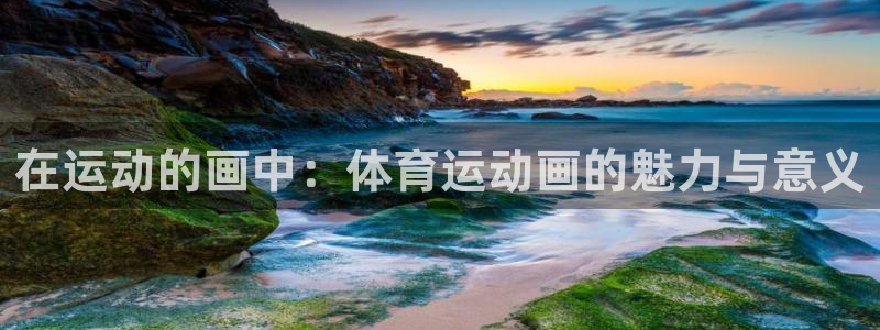 J9官网下载平台注册流程视频：在运动的画中：体育运动画的魅力