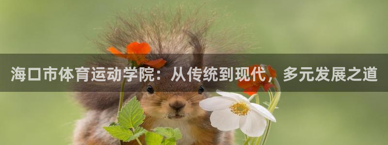 J9官网下载平台注册要钱吗：海口市体育运动学院：从传统到现代